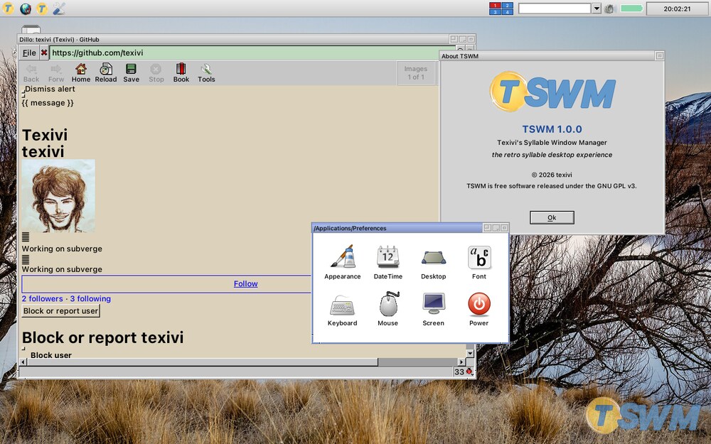 TSWM with windows open